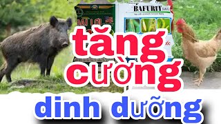 (GẤP GẤP)... Bắt Đầu..XUẤT HIỆN. MỐI ĐE DỌA...Gấp...XỬ LÝ Và TĂNG CƯỜNG DINH DƯỠNG...