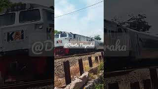 KERETA API SINDORO NGEBUT DI PERLINTASAN LIAR#shortvideo #keretaapi #railway