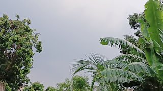 Cloudy Day At Plassey | It Might Rain