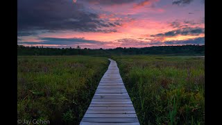 Photography at the Little Pond Boardwalk Trail