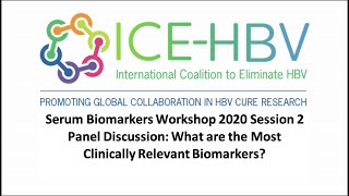 ICE-HBV Serum Biomarkers Workshop Session 2 Industry Panel Discussion