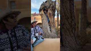 Cottonwood Madonna - Virgin of the Tree Albuquerque, New Mexico: