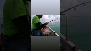 ketika mancing habis di marahi istri #mancinglaut #fishingbeach #fishing #eastjava #mancingmania