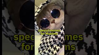 Halal memes for Muslims #funny #halal #memes #muslimpost #explore #viralshorts #shorts