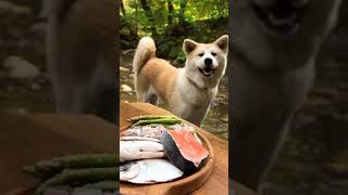 Cooking fish with shrimp in sauce.