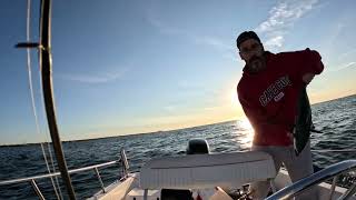 TRIPS on Boat Season 3 Trailer