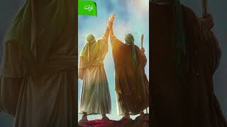 Imam Ali (A.S) Sadiq o Ameen | #islamic #islamicvideo  #shorts