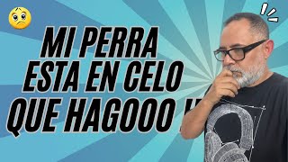 TODO lo que NO SABÍAS del CELO en las PERRAS by Alex Santillana