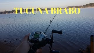 Pesca de Tucunaré usando a Borá 7,5 Nelson Nakamura. Pescaria