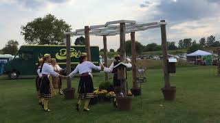 Wisdom Dancers at Polli*NATION Festival 2017 by Pollinator Friendly Alliance.