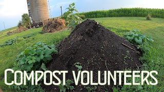 Compost Volunteers