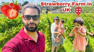 TOUR OF STRAWBERRY AND VEGETABLE FARM IN ENGLAND || PRODUCTIVE FARMING METHOD