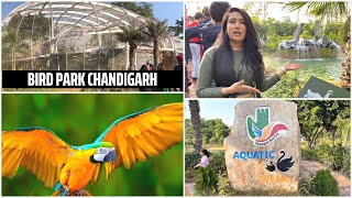 Chandigarh New Bird Park | Birds Park Chandigarh | Famous Place in Chandigarh