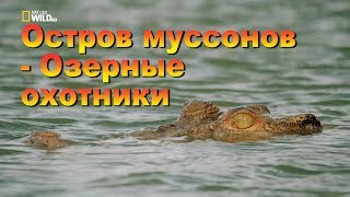 Nat Geo Wild: Остров муссонов - Озерные охотники.