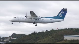 Live at Wellington Airport as the Q300 ZK-NEO spends its last day flying in Teal