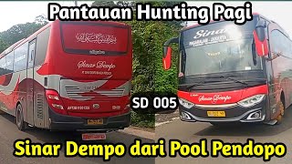 PANTAUAN HUNTING PAGI BUS ASLI PAGARALAM DARI POOL PENDOPO ‼️SD005  BERTUGAS MEMBAWA PENUMPANG