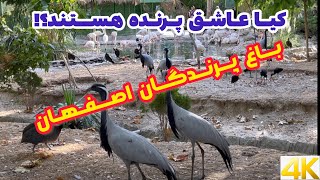 Birds garden Esfahan باغ پرندگان اصفهان - زیباترین پرنده های دنیا