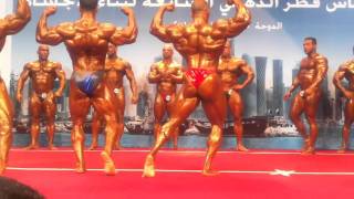 محمد سلامه -Egyptian Bodybuilding -  Mohamed Salama  (Comparisons)