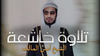 والذين آمنوا وعملوا الصالحات لا نكلف نفسا الا وسعها | تلاوة خاشعة ارح سمعك | القارئ الشيخ أنس المالك