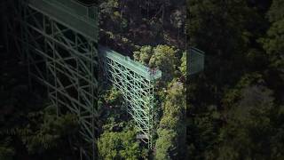 Wayanad Glass Bridge 😍 / Drone Bossco / Kerala