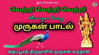 வெற்றி வெற்றி வெற்றி | முருகன் பாடல் | Murugan song /தைப்பூசத் திருநாளைக் காண வந்த முருகன்