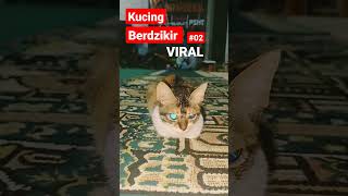 VIRAL, KUCING BERDZIKIR #02 #shorts #kucing #kucinglucu #kucingkampung #cats #viral #istanalokajaya