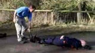 Prometheus Team 8 Stretcher Demo.wmv