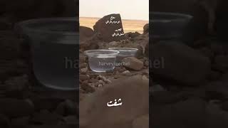 لا تحقرن من المعروف شيء