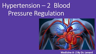 Hypertension II , Physiology of Blood Pressure Regulation