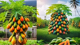 Grow Papaya Tree FASTER in Water with Top Gardening Secrets!