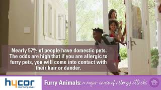 Furry Animals - a major cause of allergies