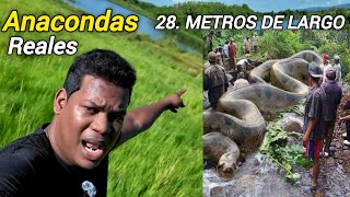 ANACONDA GIGANTE FUE ECONTRADA EN ESTE LAGO MISTERIOSO