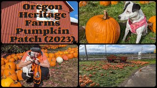 Oregon Heritage Farms Pumpkin Patch 2023