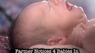 Farmer Notices 4 Babies In The Field.But What He Does Next Will Leave You Speechless! |Unknown Facts