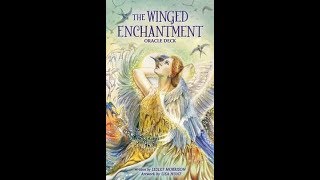 The Winged Enchantment Oracle Cards