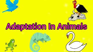 Science Lesson- Adaptation In Animals || Word Bank, Q&A || CBSE 4th Grade || Kidos Edu Point