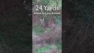 Where Are You Aiming? #wildlife #hunting #deer