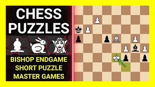 Chess Puzzles to Practice. Themes: Bishop endgame, Short puzzle, Master games. Learn Chess