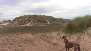 Rattray Head