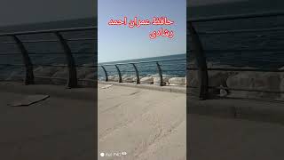 (سورة النبا) بصوت الشيخ عبد الرحمن بن سديس