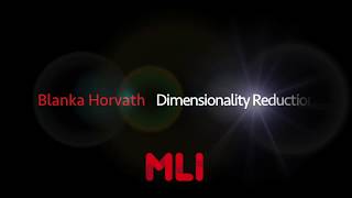 MLI - Dimensionality Reduction Sample by Blanka Horvath