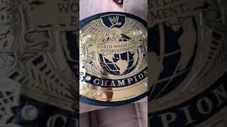 Closer look at the undisputed championship