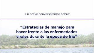 Estrategias de manejo para las enfermedades virales durante la época de frío | Webinar Nicovita