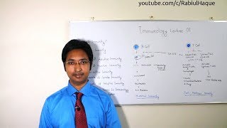 Immunology Lecture 01 : Introduction & Components of Immunity