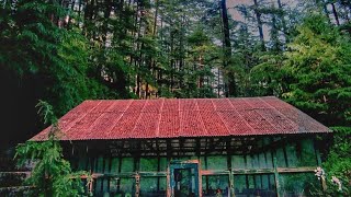 Van Vihar Manali,Forest 🌳 is calling and I must go,Short video