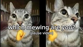 Which mewing are you?...(pause video)