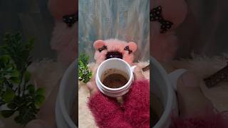 Cadbury's Hot Chocolate ❤️❤️#viral #trending #shorts #youtube #trending