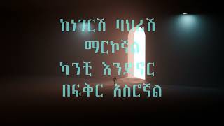 ሚካኤል በላይነህ ፡ የፍቅር ምርጫዬ / Micheal Belayneh Yefkir mrchaye Music lyrics video