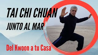 Tai Chi Chuan junto al mar