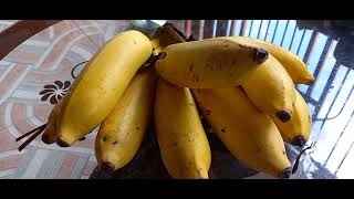 🇬🇾Guyana apple bananas🇬🇾